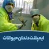 نبدسمندبمسندبم
